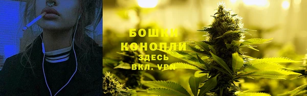 ПСИЛОЦИБИНОВЫЕ ГРИБЫ Беломорск