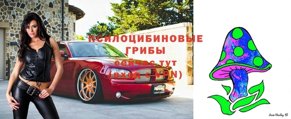ПСИЛОЦИБИНОВЫЕ ГРИБЫ Беломорск