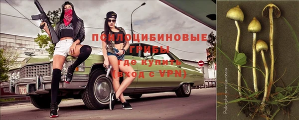 PSILOCYBIN Белоозёрский