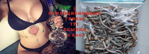 PSILOCYBIN Белоозёрский